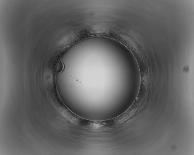 X0000097500662200802221445