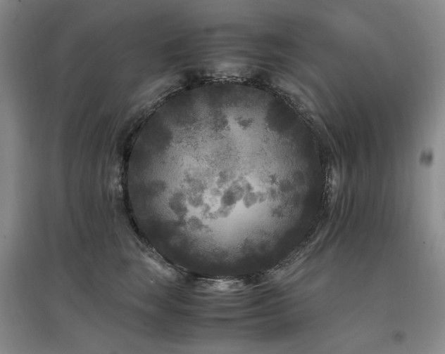 X0000097500663200802221445