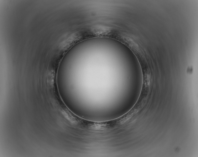 X0000097500664200802221445