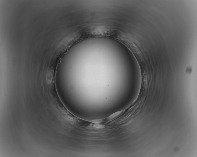 X0000097500665200802221445