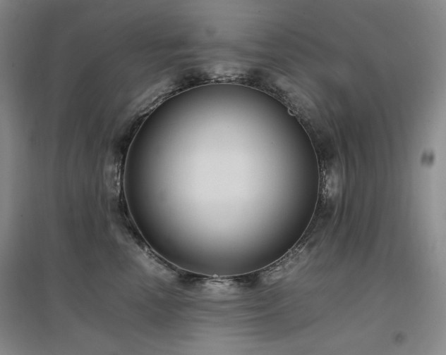 X0000097500666200802221445