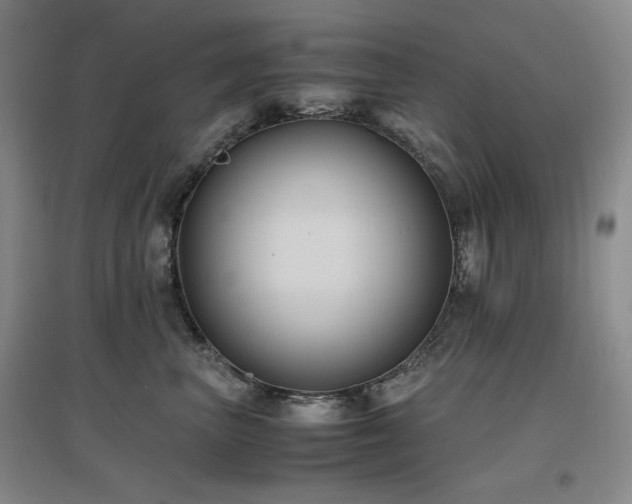 X0000097500667200802221446
