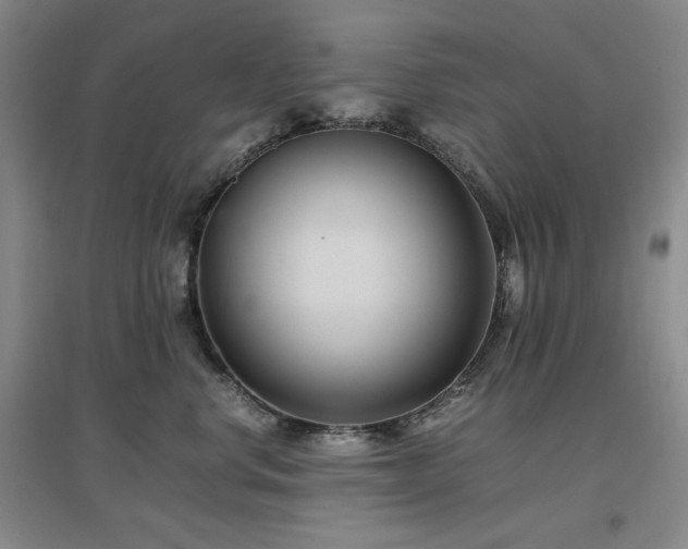X0000097500668200802221446