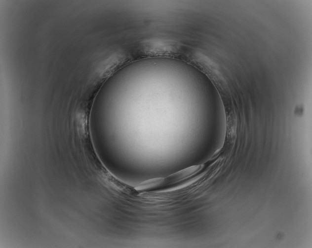 X0000097500669200802221446