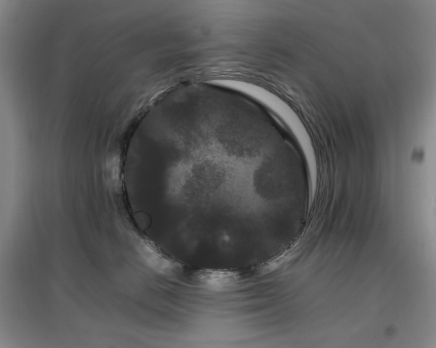 X0000097500670200802221446