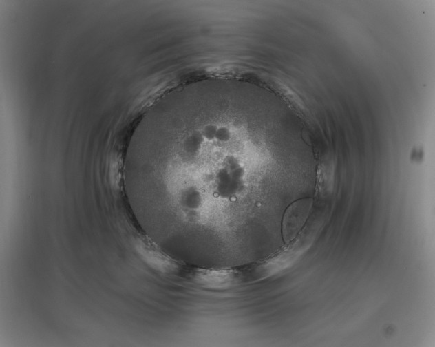 X0000097500671200802221446