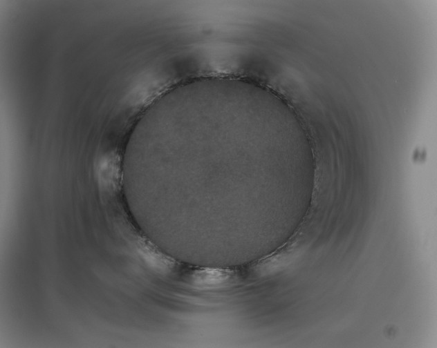 X0000097500672200802221446