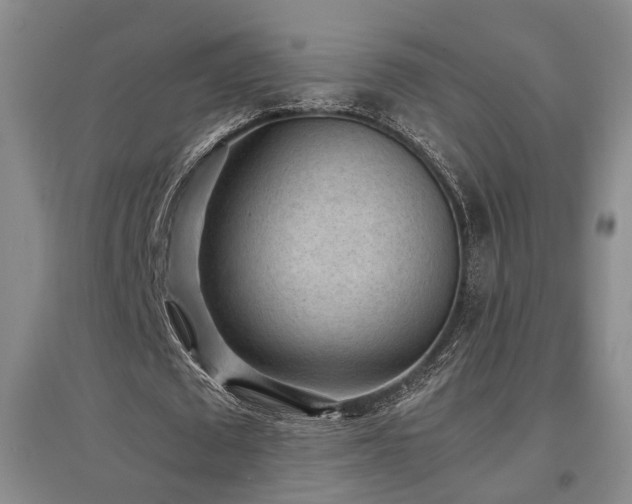 X0000097500673200802221445