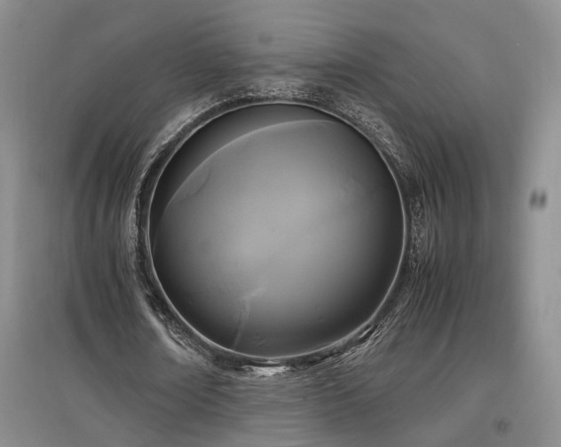 X0000097500674200802221445