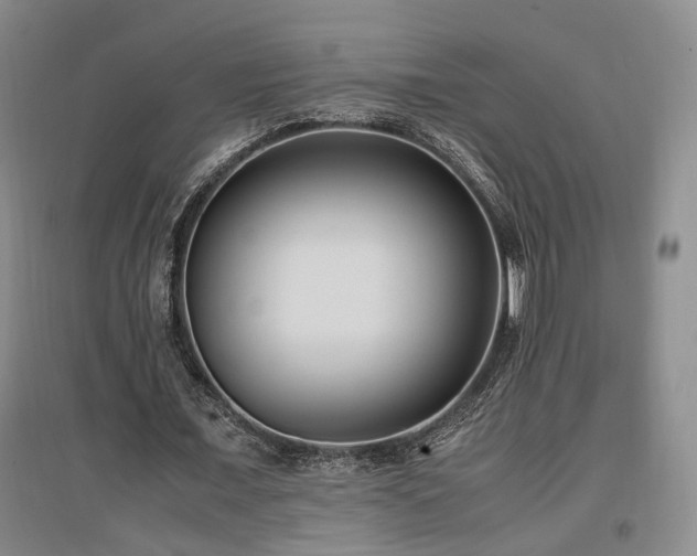 X0000097500675200802221445