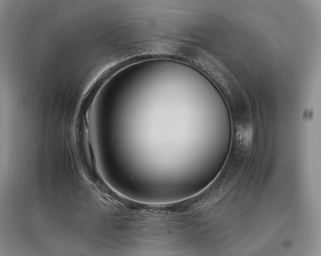 X0000097500676200802221445