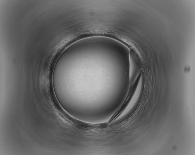 X0000097500677200802221445
