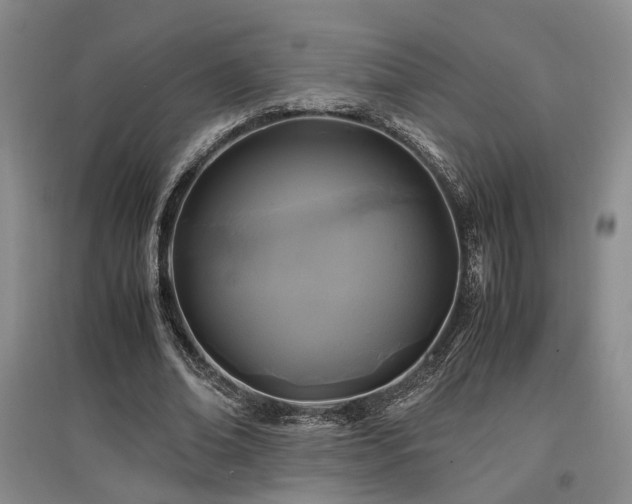 X0000097500678200802221445