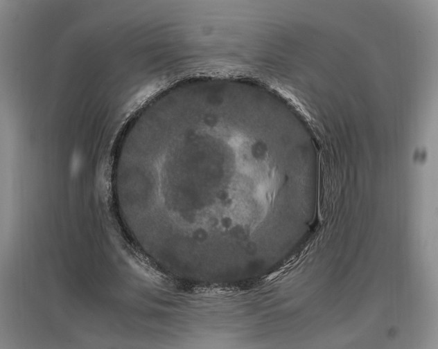 X0000097500679200802221445