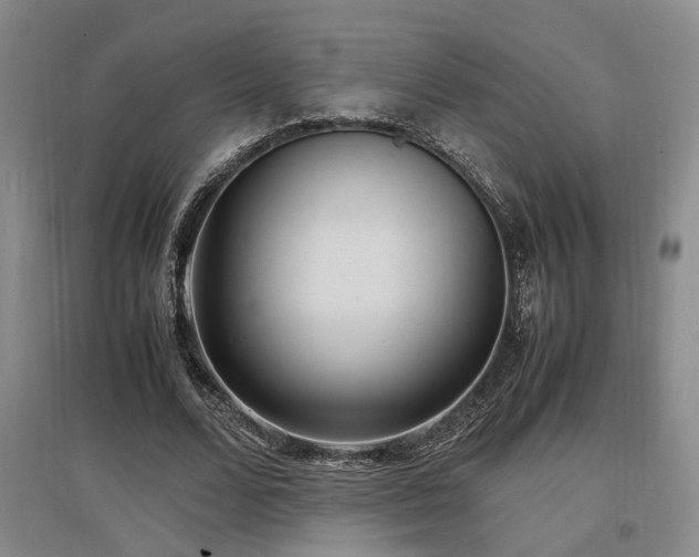 X0000097500680200802221445