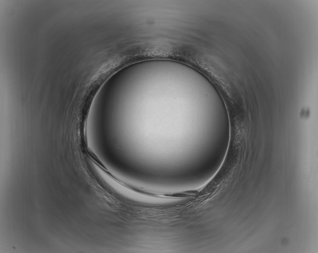 X0000097500681200802221445