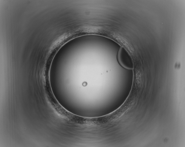 X0000097500682200802221445