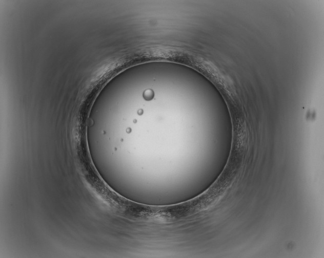 X0000097500683200802221445
