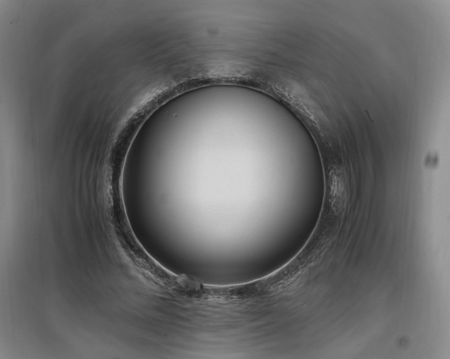 X0000097500684200802221445