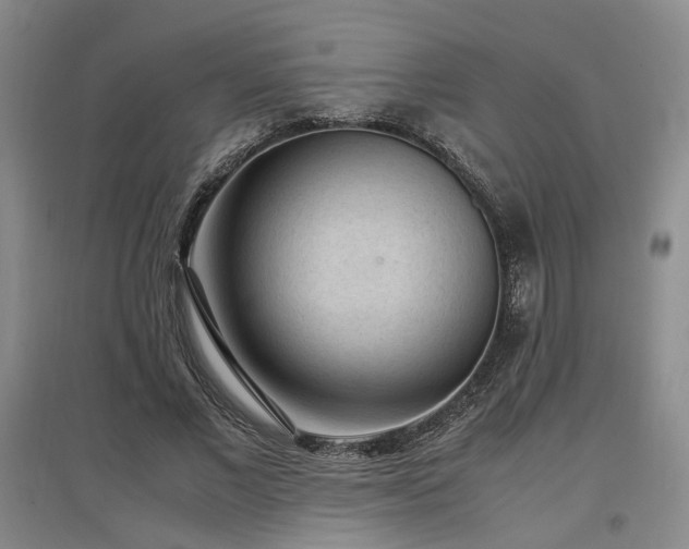 X0000097500685200802221445