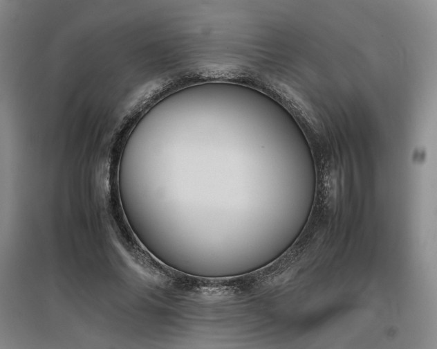 X0000097500686200802221445