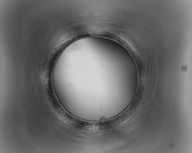 X0000097500687200802221445