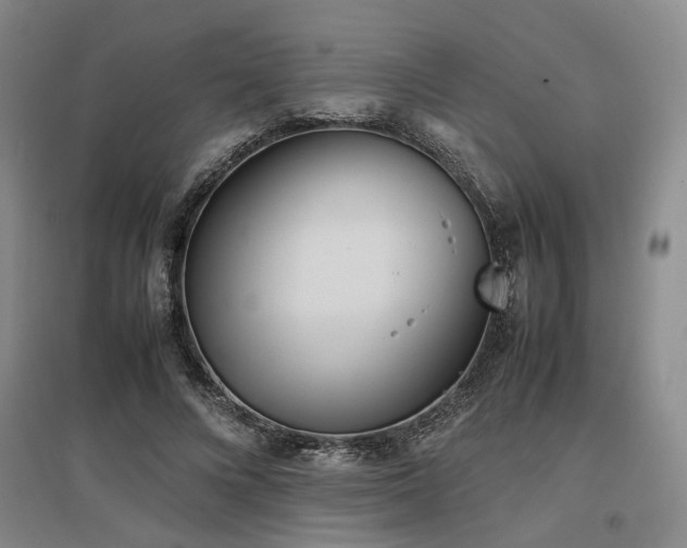 X0000097500688200802221445
