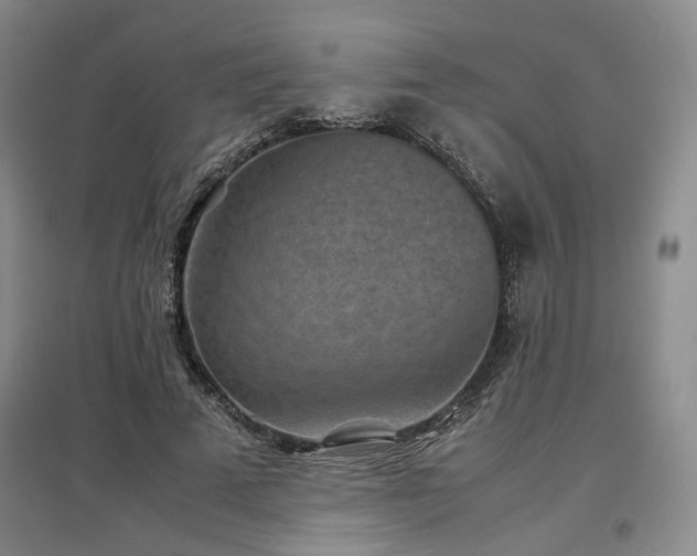 X0000097500689200802221445