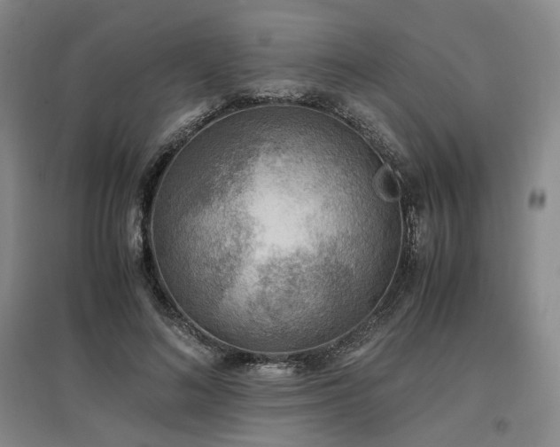 X0000097500692200802221445