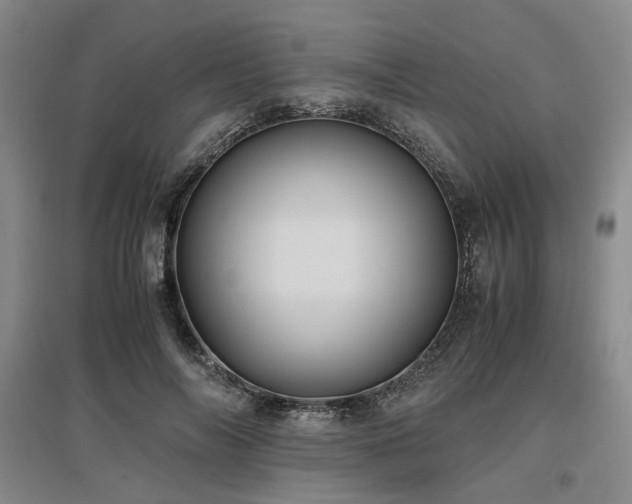 X0000097500694200802221445