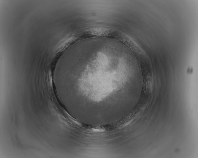 X0000097500696200802221445