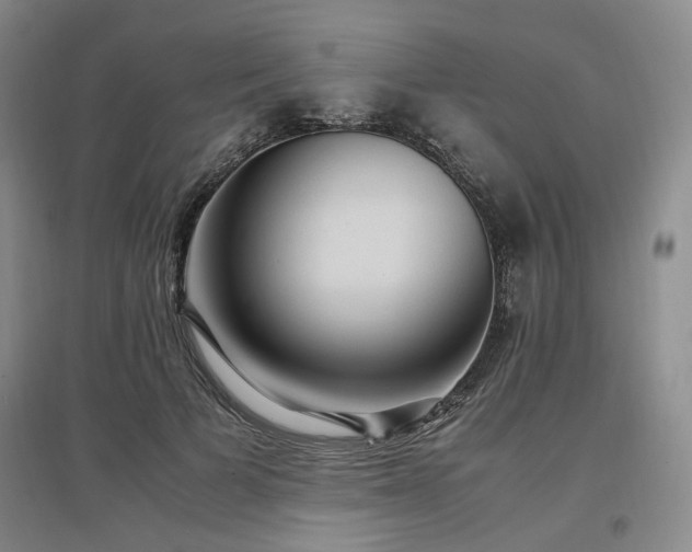X0000097500697200802221445