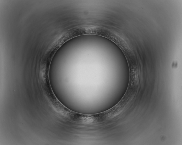 X0000097500698200802221445