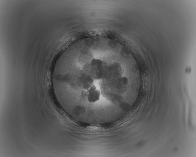 X0000097500699200802221445