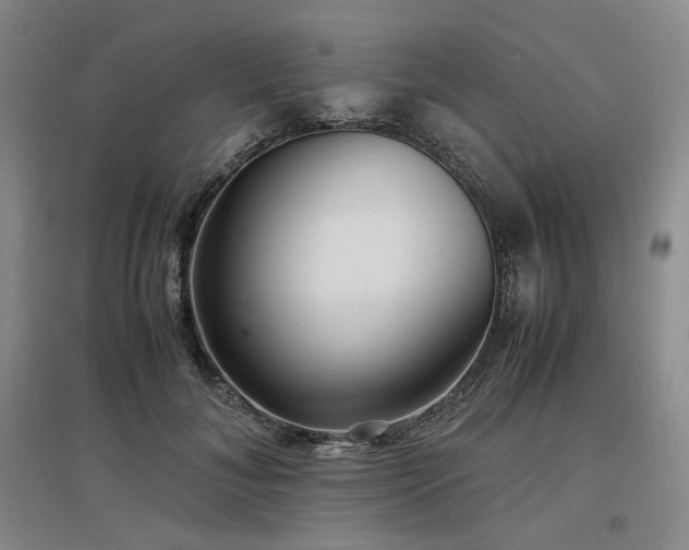 X0000097500700200802221445