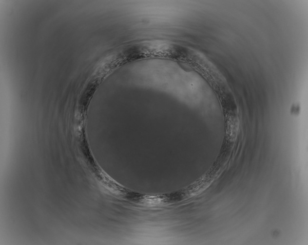 X0000097500701200802221445