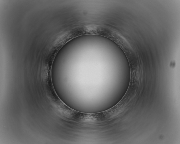X0000097500702200802221445