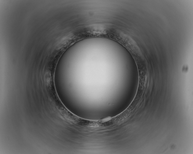 X0000097500704200802221444