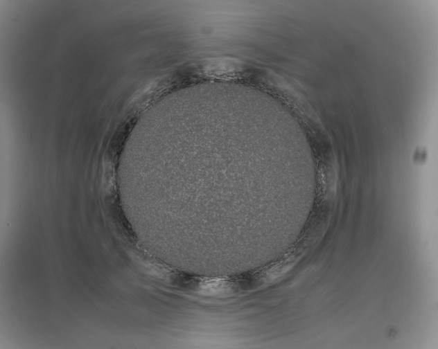X0000097500705200802221444