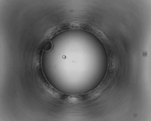 X0000097500706200802221444