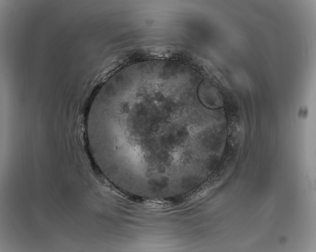 X0000097500707200802221444