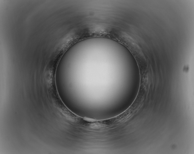 X0000097500708200802221444