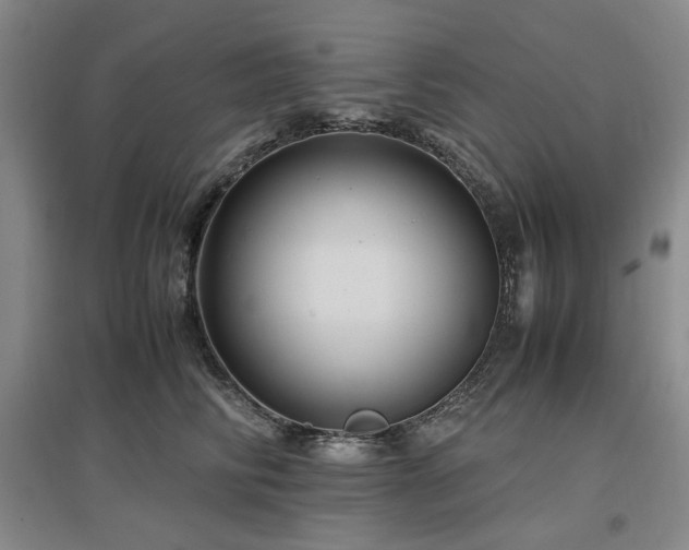 X0000097500710200802221444