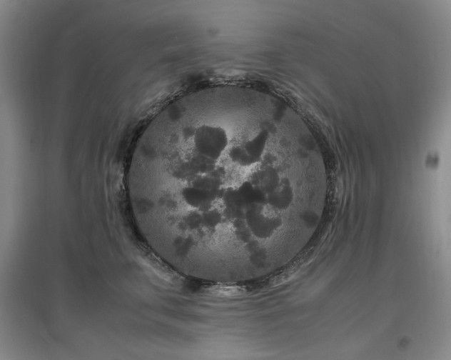 X0000097500711200802221444