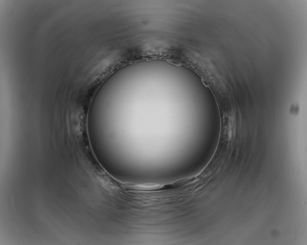 X0000097500712200802221444