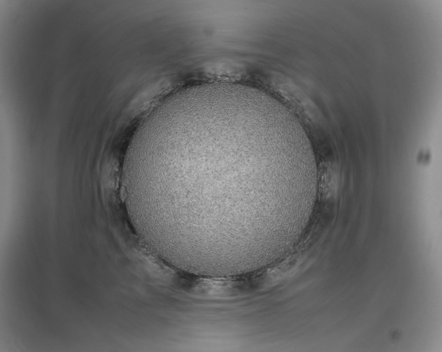 X0000097500713200802221444