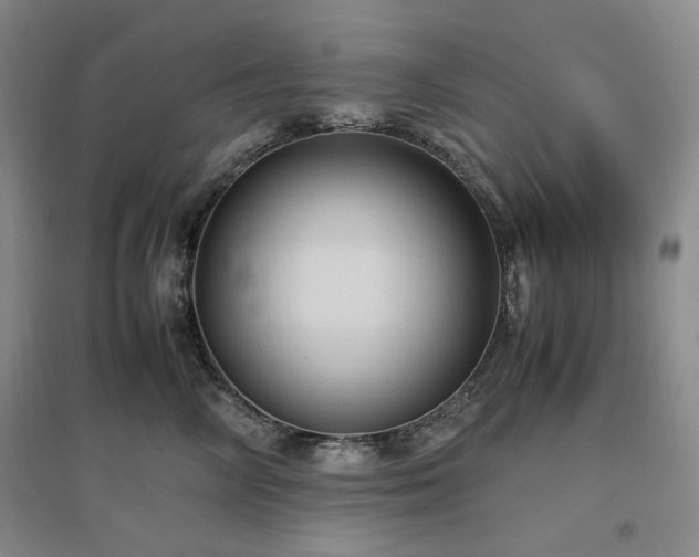 X0000097500714200802221444