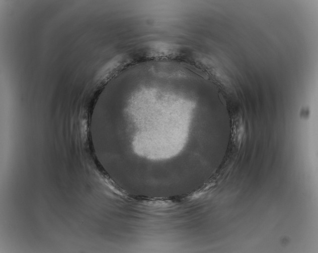 X0000097500716200802221444