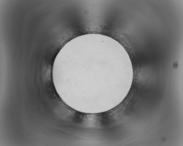 X0000097500717200802221444