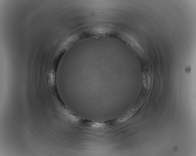 X0000097500718200802221444